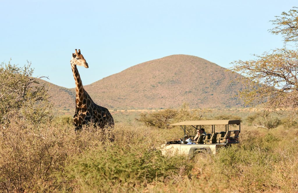 Luxury sustainable safaris in South Africa